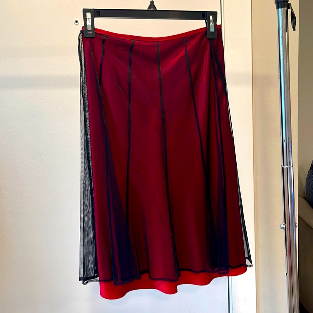 Beautiful fancy skirt from Paris